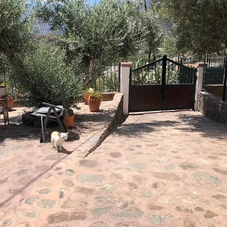 La Casa Vieja De La Montana *