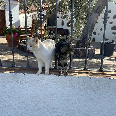 La Casa Vieja De La Montana Semesterbostad *